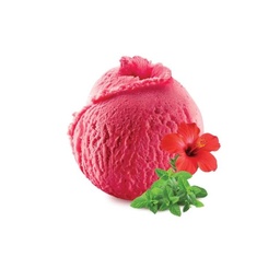[ice] Helado Hibiscus menta (500ml)
